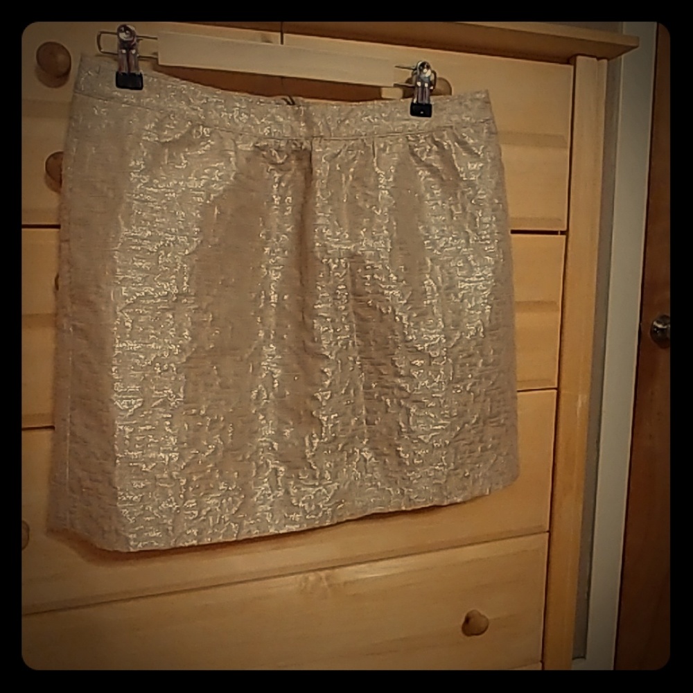 Ann Taylor Loft skirt